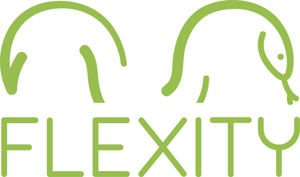 E-shop Flexity