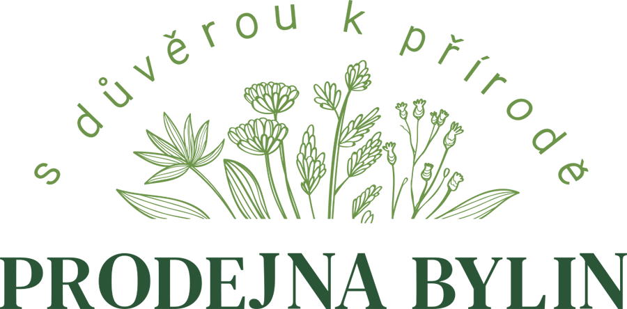 E-shop Prodejnabylin